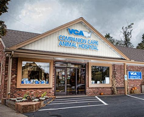 vca companion animal hospital